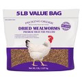 Pecking Order Mealworms Dried 5Lb 009351
